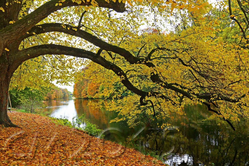 Hain Bamberg, Autor: Charlotte Moser