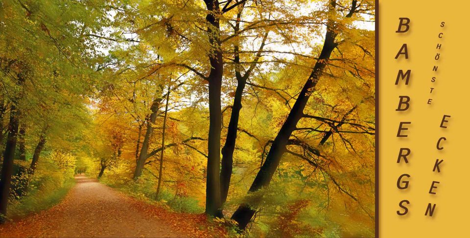 Herbstpostkarte aus Bamberg, Autor: Charlotte Moser