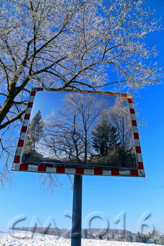 Wintersonne im Januar, Bamberg, Autor: Charlotte Moser
