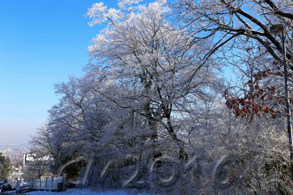 Wintersonne im Januar, Bamberg, Autor: Charlotte Moser