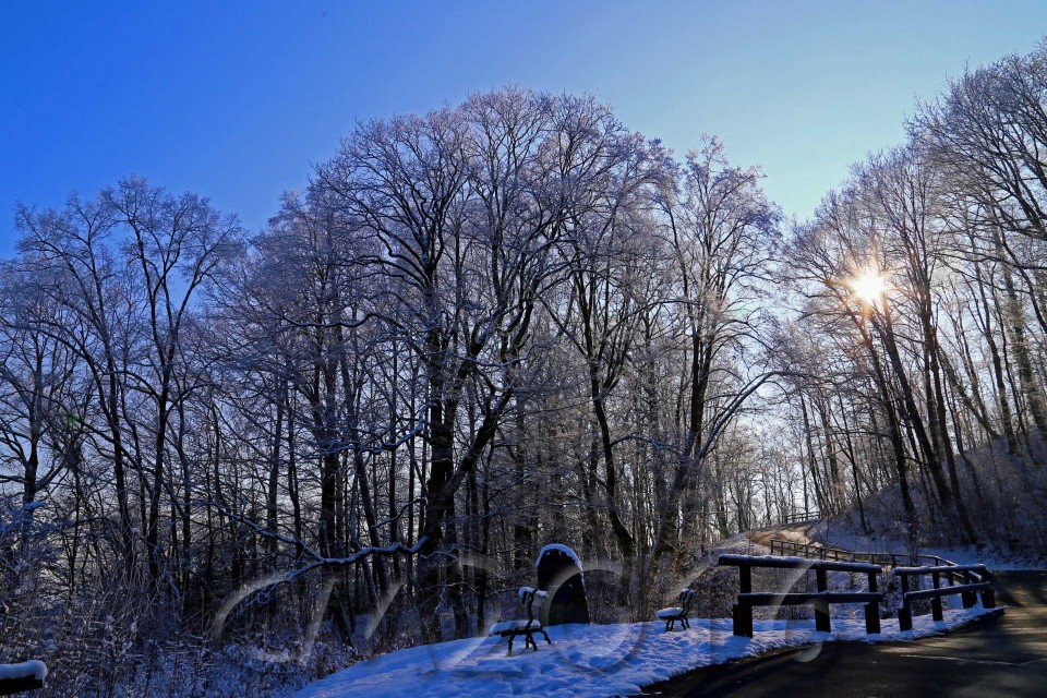 Wintersonne im Januar, Bamberg, Autor: Charlotte Moser