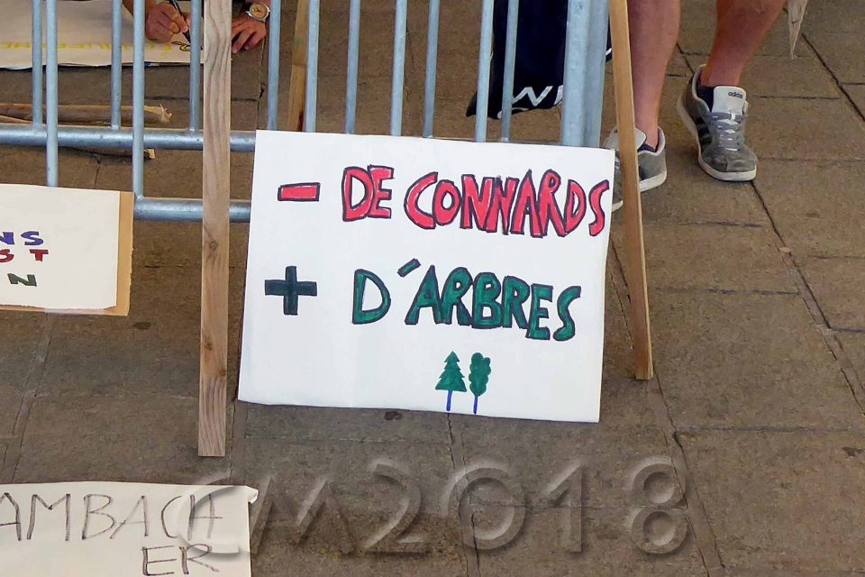 Marseille, Demonstration für die Erhaltung der Bäume an La Plaine, Autor: Charlotte Moser