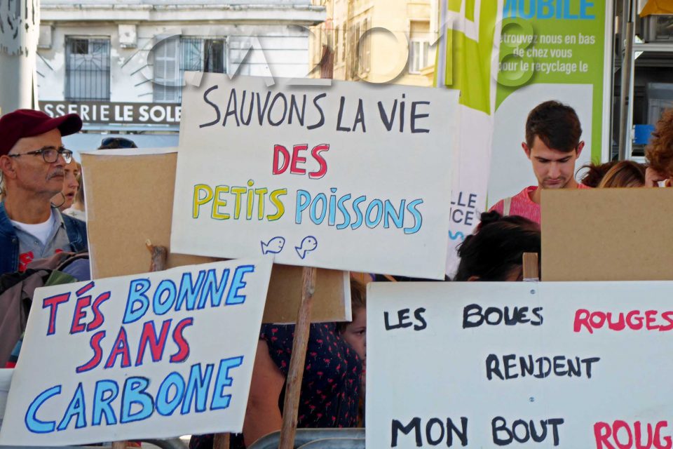 Marseille, Demonstration für die Erhaltung der Bäume an La Plaine, Autor: Charlotte Moser