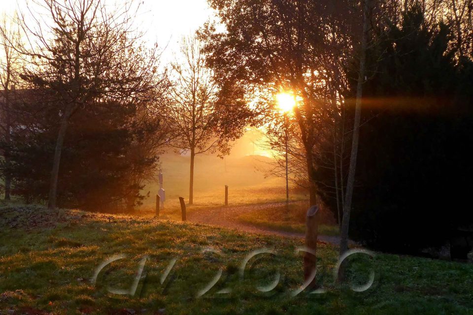 Sonnenaufgang im November, Autor: Charlotte Moser