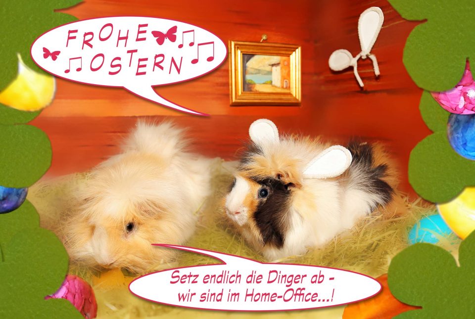 Frohe Ostern 2020, Autor: Charlotte Moser