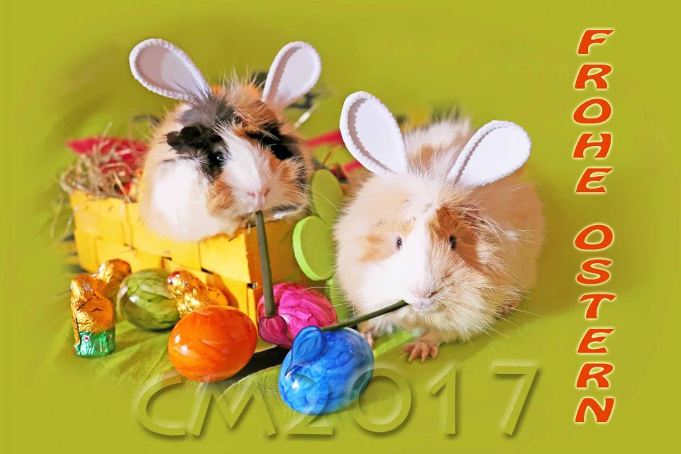 Frohe Ostern! autor: charlotte moser