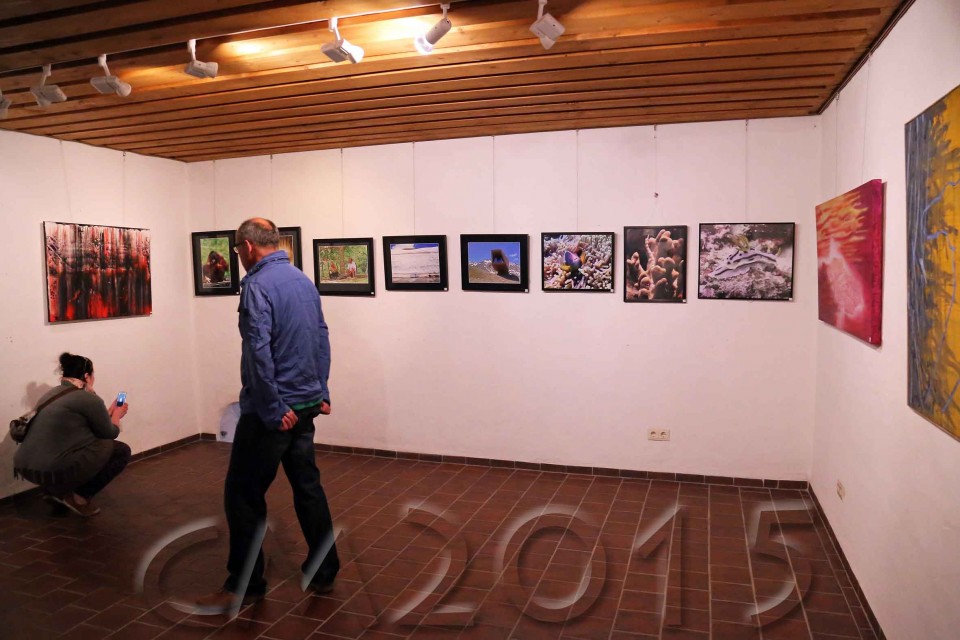 Pfingstausstellung, Autor: Charlotte Moser