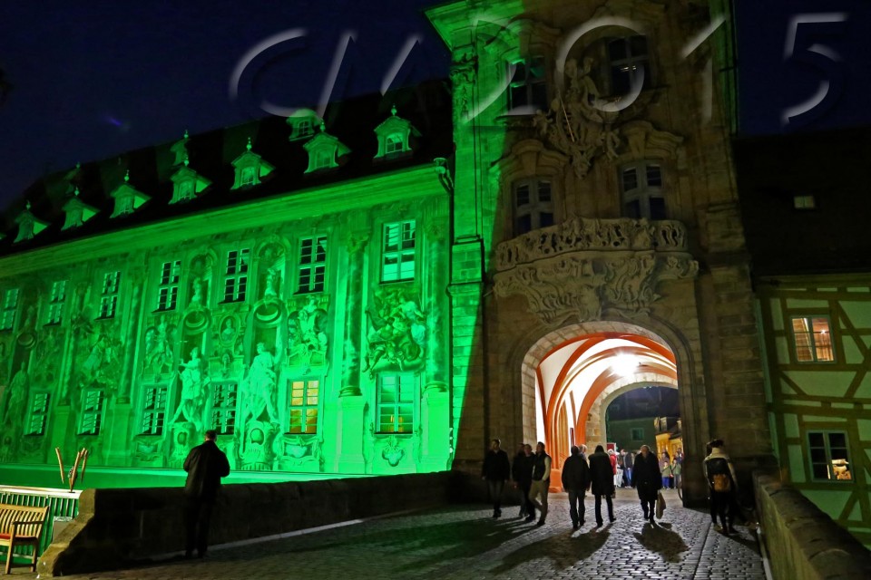 St.Patrick´s-Day 023_2wz_charlotte moser
