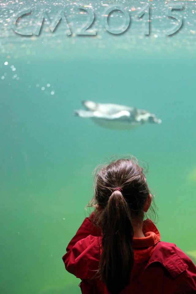 Tiergarten_Nuernberg_autor_charlotte_moser