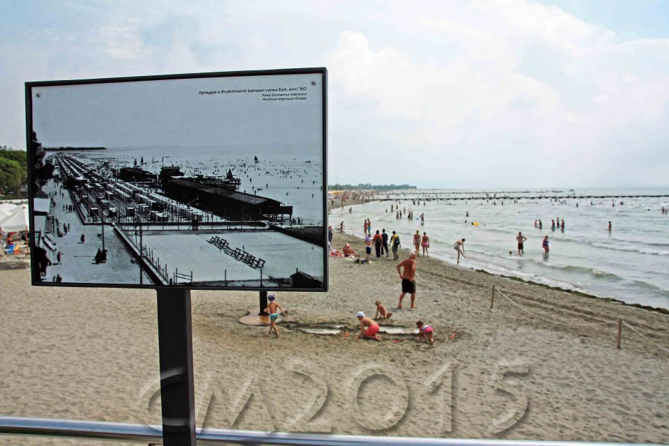 Grado, autor: charlotte moser