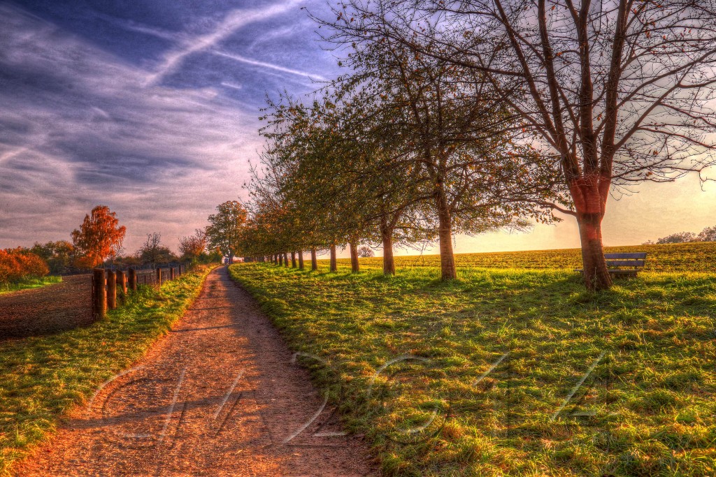 Weg_HDR_wz, Autor: CXharlotte Moser