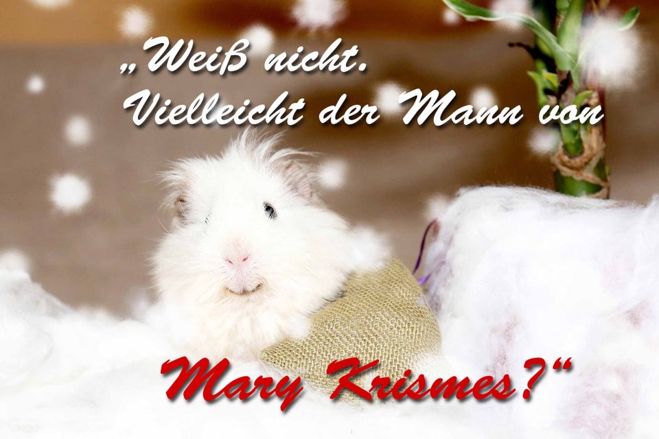 Weihnachtsklapp-Postkarte Rückseite, Autor: Charlotte Moser