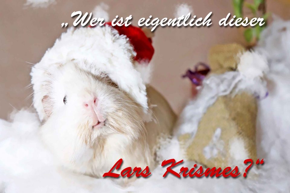 Weihnachtsklapp-Postkarte Vorderseite, Autor: Charlotte Moser