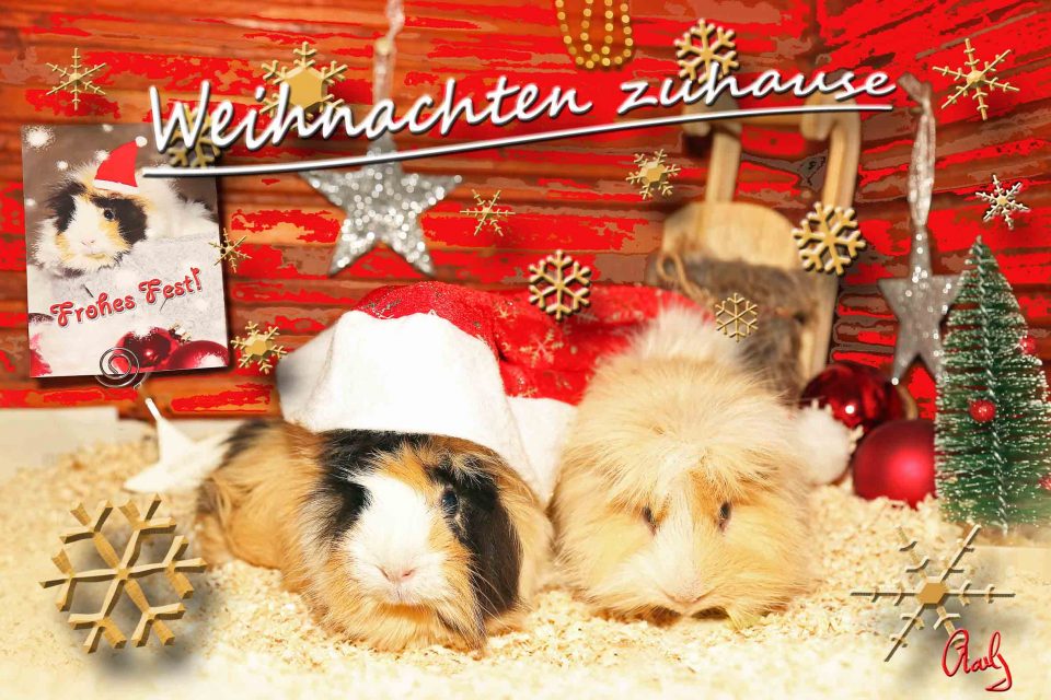 Fröhliche Weihnachten, Autor: Charlotte Moser