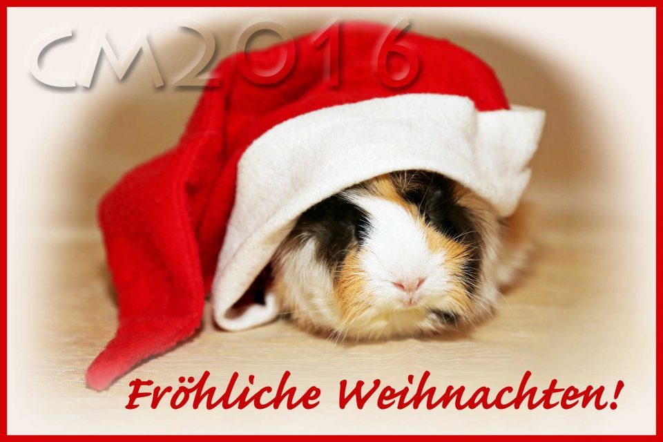 Weihnachtsmeerschweinchen, autor: charlotte moser