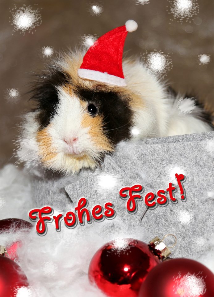 Weihnachtspostkarte, Autor: Charlotte Moser
